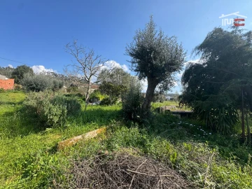 Moradia T2 para Venda em Seiça