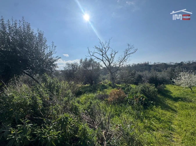 Moradia T2 para Venda em Seiça Foto 29