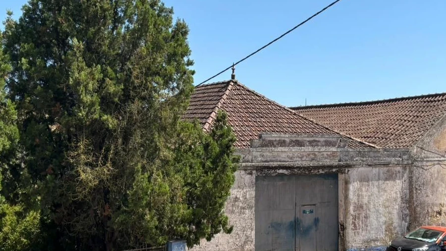 Armazém para Venda em Carvoeira e Carmões