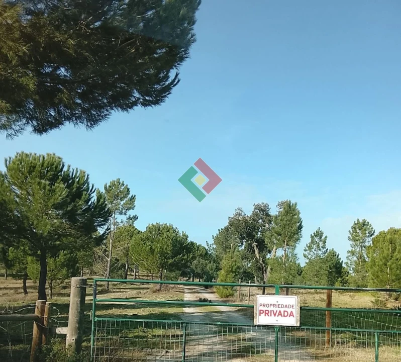 Terreno Agricola ou Rústico para Venda em Montargil Foto 3