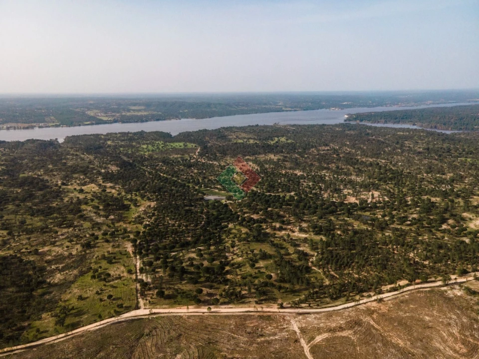 Terreno Agricola ou Rústico para Venda em Montargil Foto 1