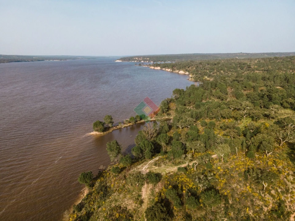 Terreno Agricola ou Rústico para Venda em Montargil Foto 19