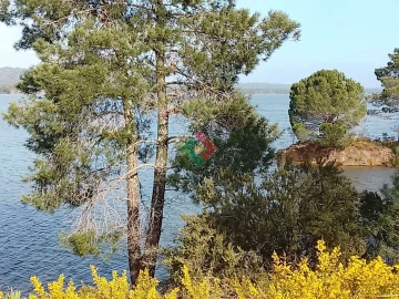 Terreno Agricola ou Rústico para Venda em Montargil