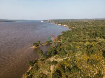 Terreno Agricola ou Rústico para Venda em Montargil