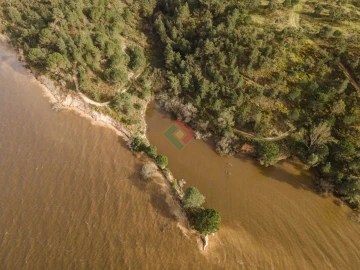 Terreno Agricola ou Rústico para Venda em Montargil