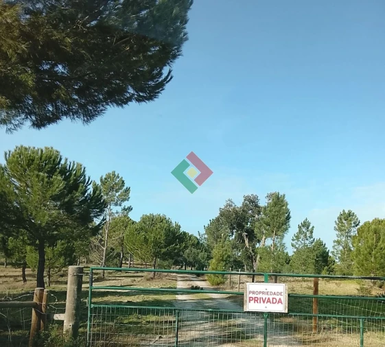 Terreno Agricola ou Rústico para Venda em Montargil Foto 3
