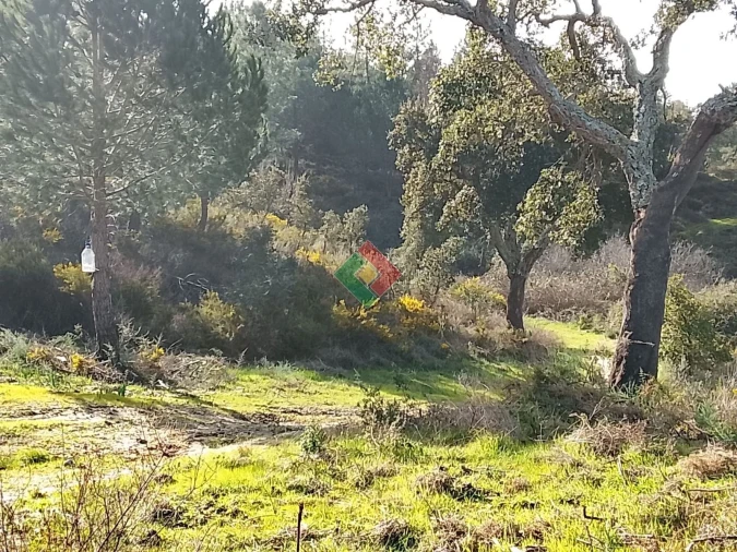 Terreno Agricola ou Rústico para Venda em Montargil Foto 10