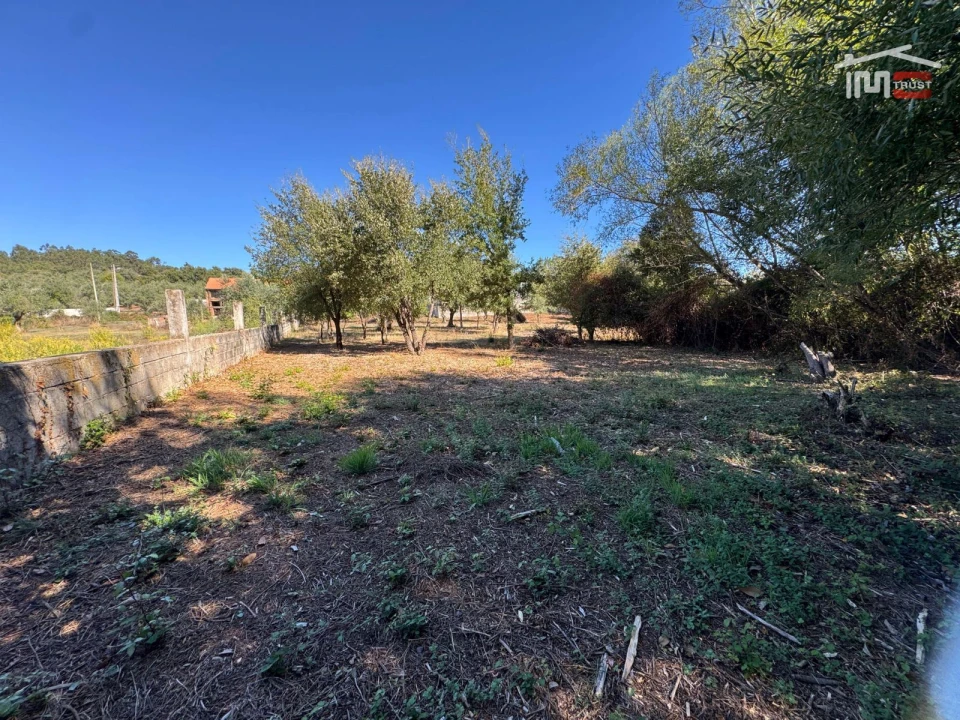 Terreno para Venda em Alvaiázere Foto 15