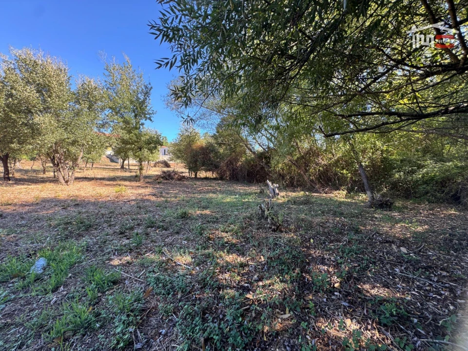 Terreno para Venda em Alvaiázere Foto 16
