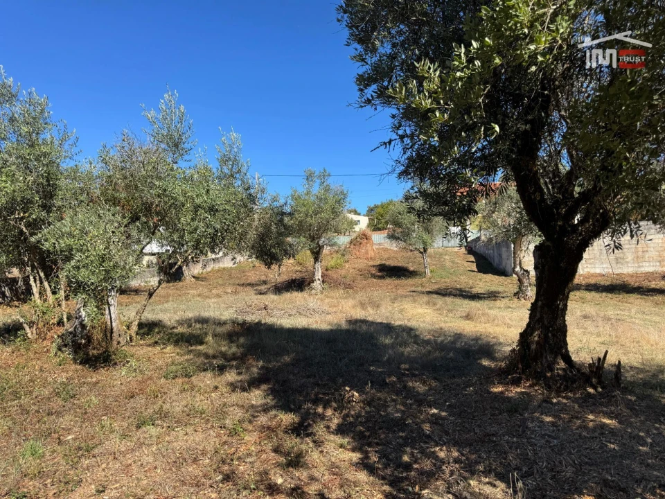 Terreno para Venda em Alvaiázere Foto 18