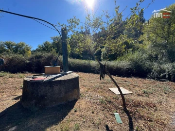 Terreno para Venda em Alvaiázere