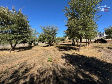 Terreno para Venda em Alvaiázere