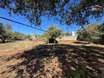 Terreno para Venda em Alvaiázere