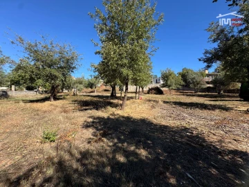 Terreno para Venda em Alvaiázere