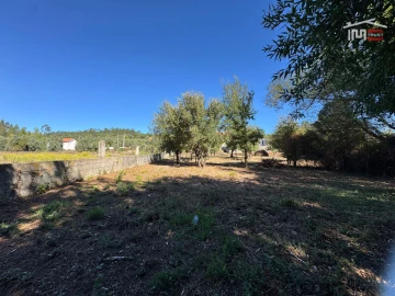 Terreno para Venda em Alvaiázere