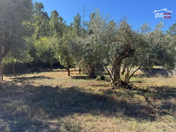 Terreno para Venda em Alvaiázere