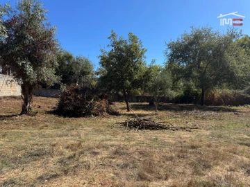 Terreno para Venda em Alvaiázere