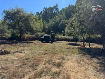 Terreno para Venda em Alvaiázere