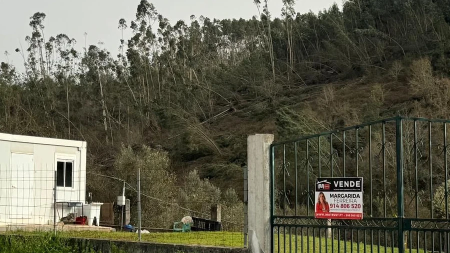 Terreno para Venda em Alvaiázere