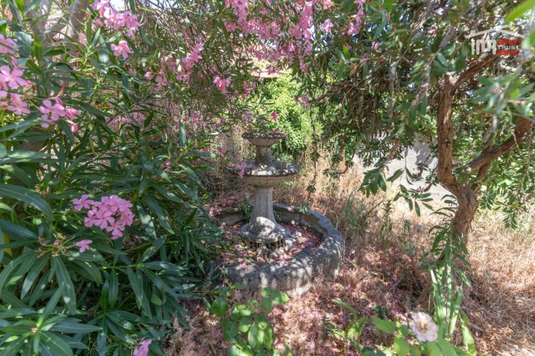 Moradia T3 para Venda em Nossa Senhora da Piedade Foto 40