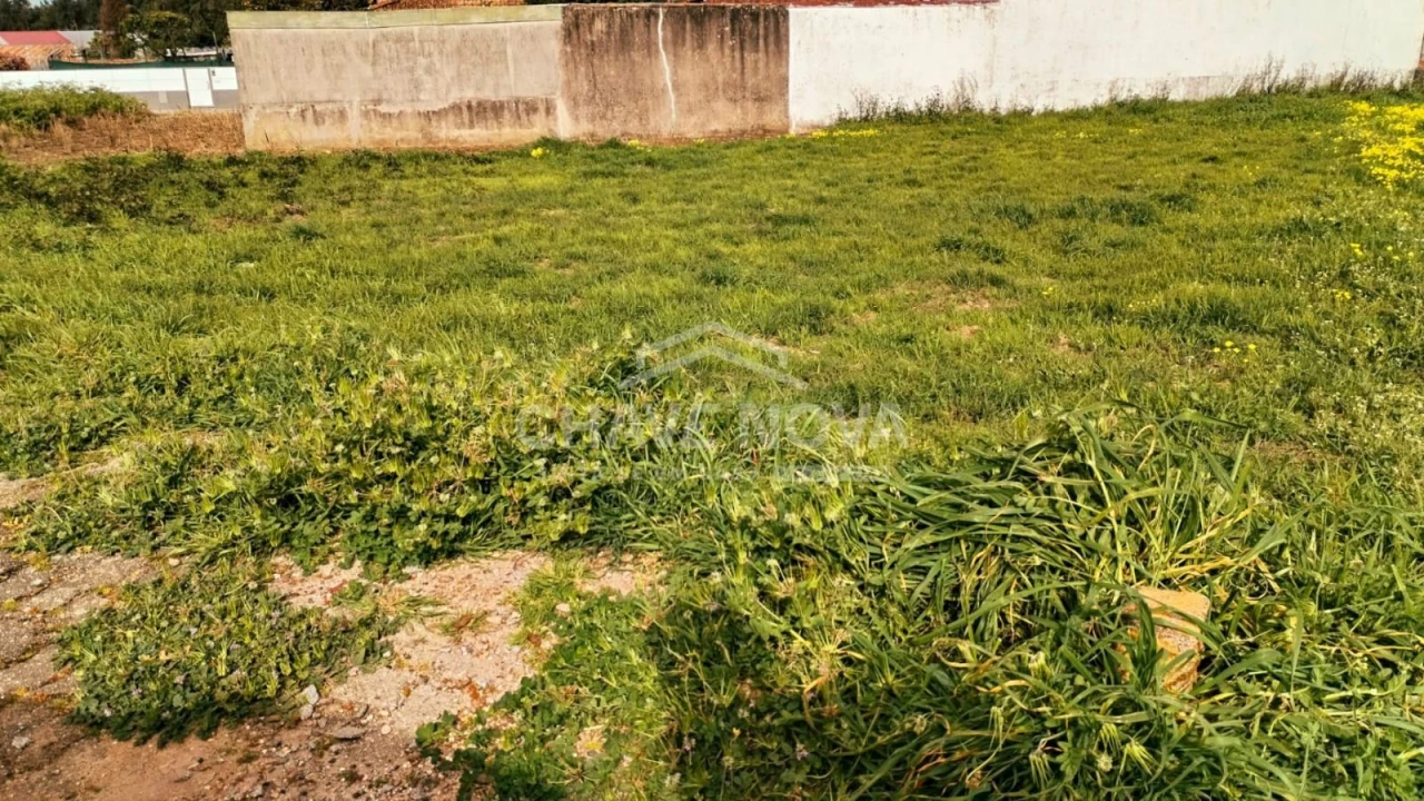 Terreno para Venda em Arcozelo Foto 6