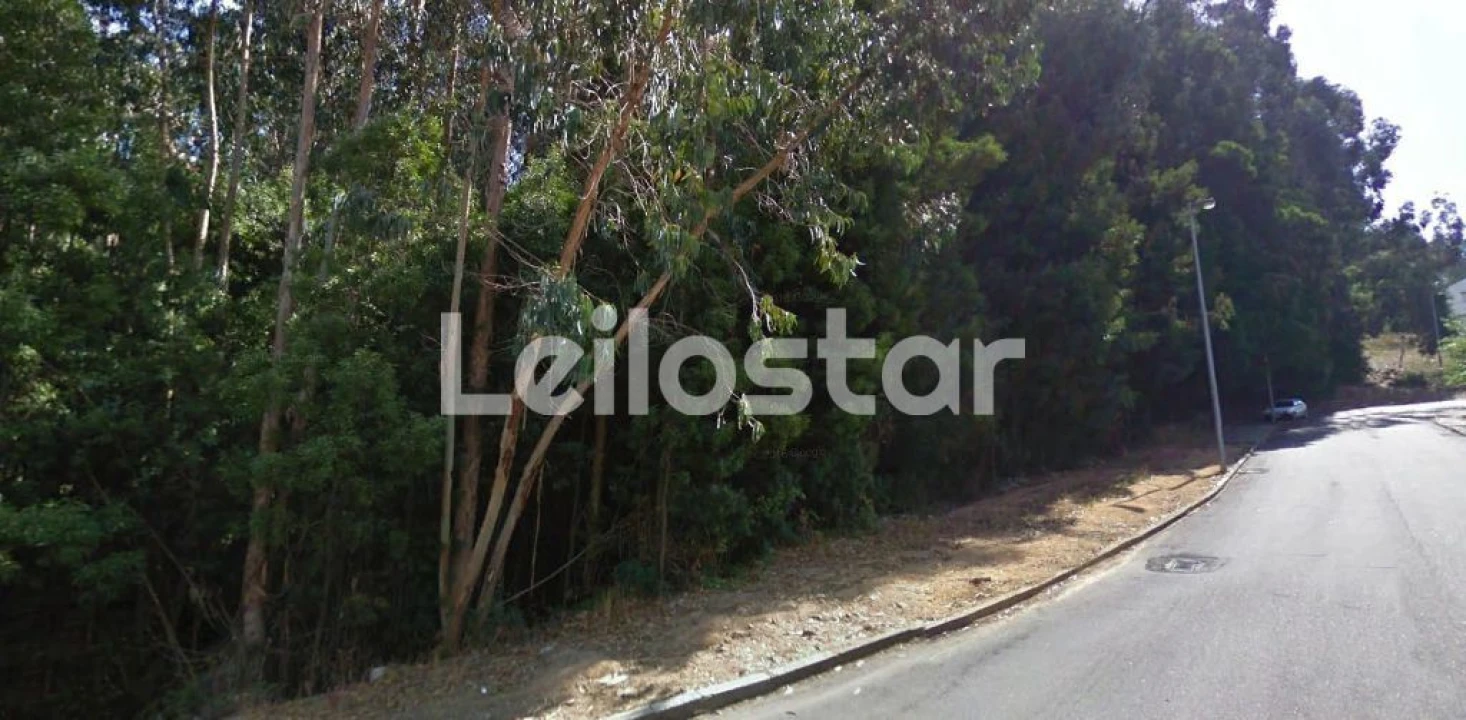 Terreno Agricola ou Rústico para Venda em Arcozelo Foto 3