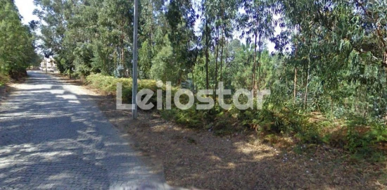 Terreno Agricola ou Rústico para Venda em Arcozelo