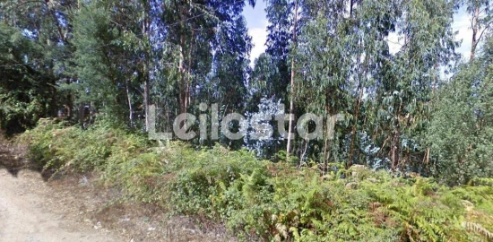 Terreno Agricola ou Rústico para Venda em Arcozelo