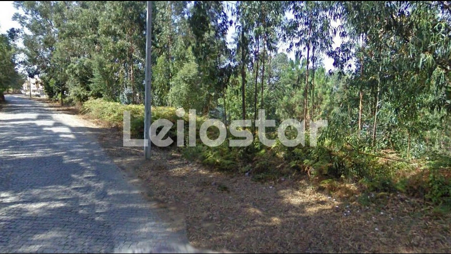 Terreno Agricola ou Rústico para Venda em Arcozelo