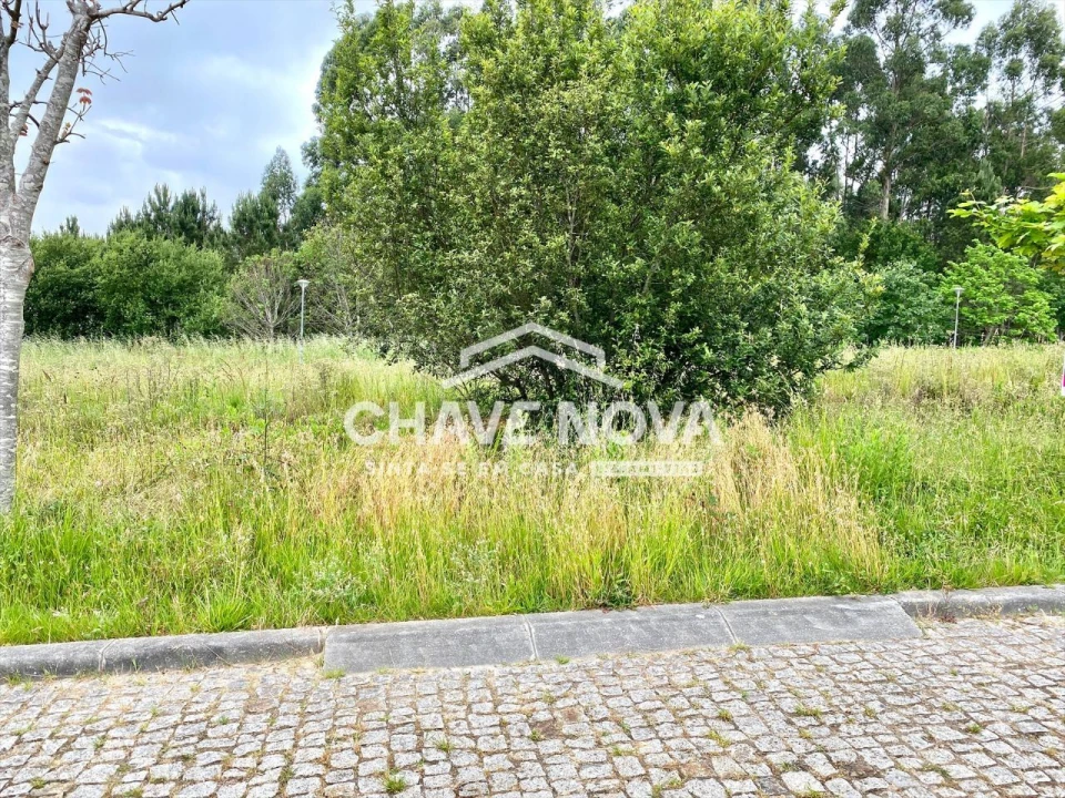 Terreno para Venda em Argoncilhe Foto 7