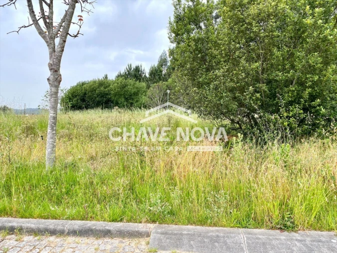 Terreno para Venda em Argoncilhe Foto 8