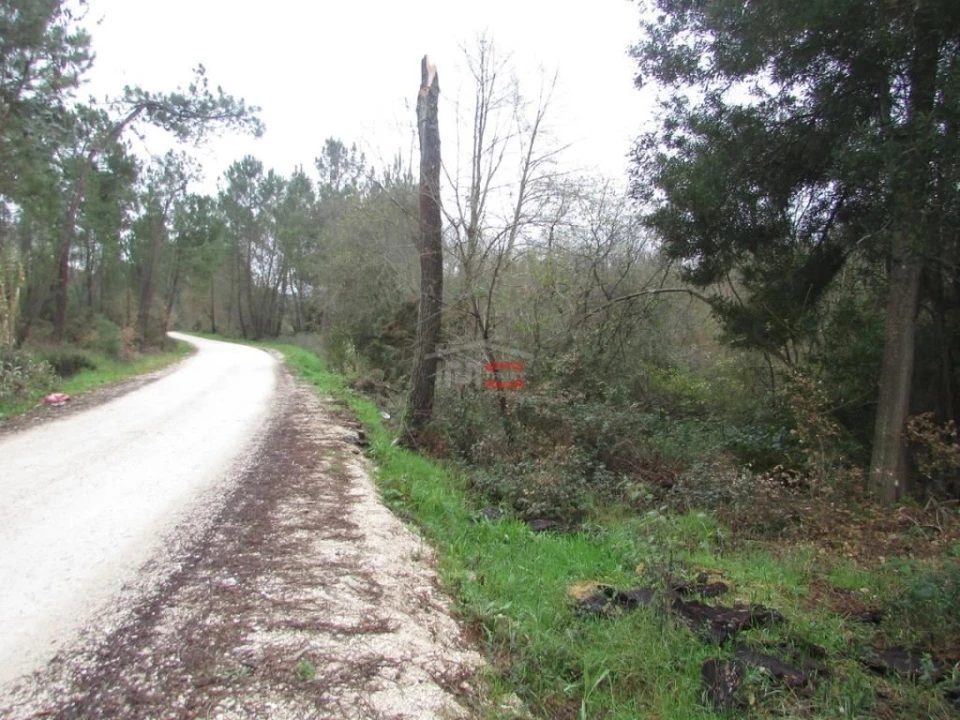 Terreno Agricola ou Rústico para Venda em Alburitel Foto 4
