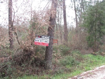 Terreno Agricola ou Rústico para Venda em Alburitel