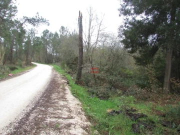 Terreno Agricola ou Rústico para Venda em Alburitel
