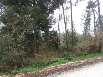 Terreno Agricola ou Rústico para Venda em Alburitel
