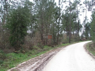 Terreno Agricola ou Rústico para Venda em Alburitel