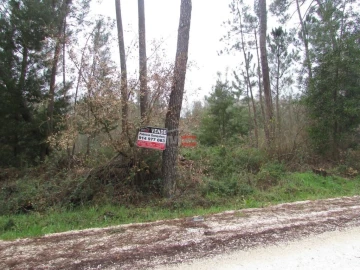 Terreno Agricola ou Rústico para Venda em Alburitel