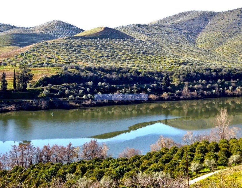 Terreno Agricola ou Rústico para Venda em Vila Nova de Foz Côa Foto 4