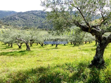 Terreno Agricola ou Rústico para Venda em Vila Nova de Foz Côa