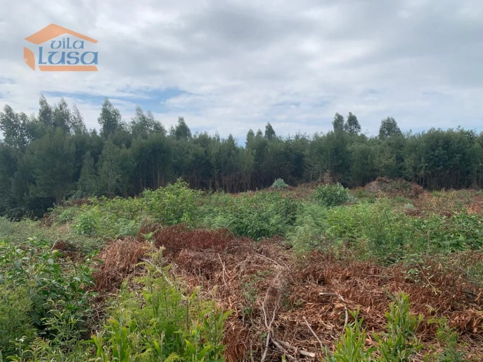 Terreno para Venda em Castêlo da Maia Foto 11