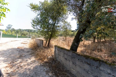 Terreno Agricola ou Rústico para Venda em São Mamede
