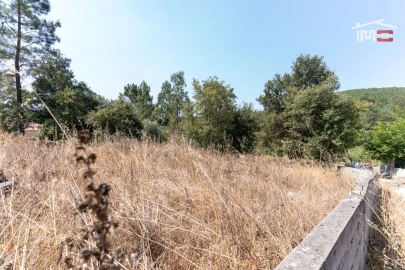 Terreno Agricola ou Rústico para Venda em São Mamede