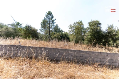 Terreno Agricola ou Rústico para Venda em São Mamede