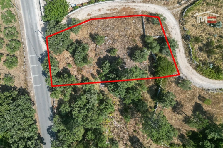 Terreno Agricola ou Rústico para Venda em São Mamede Foto 2