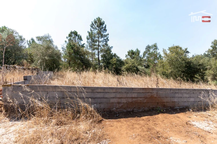 Terreno Agricola ou Rústico para Venda em São Mamede Foto 6