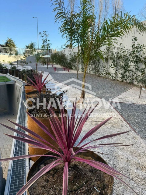 Apartamento T1 para Arrendamento em Ramalde