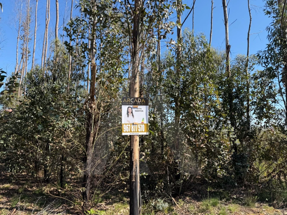 Terreno Agricola ou Rústico para Venda em Albergaria-A-Velha e Valmaior Foto 2