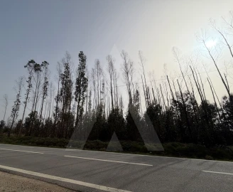 Terreno Agricola ou Rústico para Venda em Albergaria-A-Velha e Valmaior