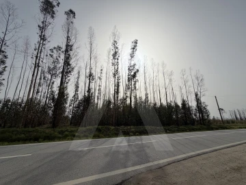 Terreno Agricola ou Rústico para Venda em Albergaria-A-Velha e Valmaior