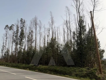 Terreno Agricola ou Rústico para Venda em Albergaria-A-Velha e Valmaior